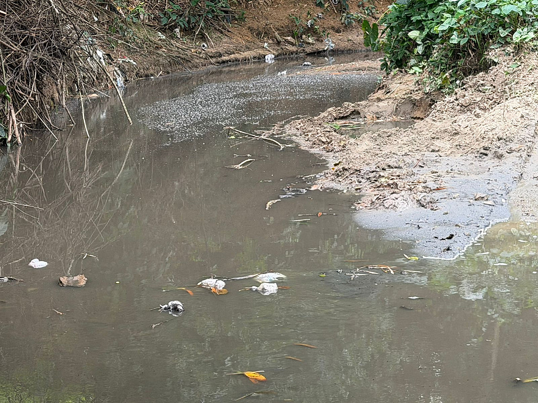 ACTIVISTA GUANCHY COMPRÉS DENUNCIA CONTAMINACIÓN DEL RÍO EN BONAGUA Y EXTRACCIÓN ILEGAL DE ARENA