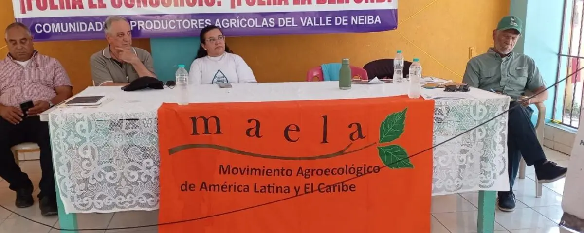 Pequeños productores agrícolas del Sur, monjas y sacerdotes denuncian atropellos de parte del CAC