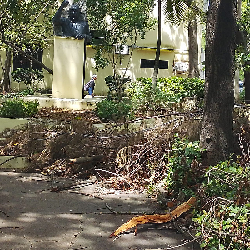 Dajabon se precipitado avionetas en FAD