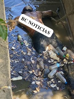 El cadáver de un hombre fue encontrado este miércoles en una de las compuertas del Dique Juan Gómez,