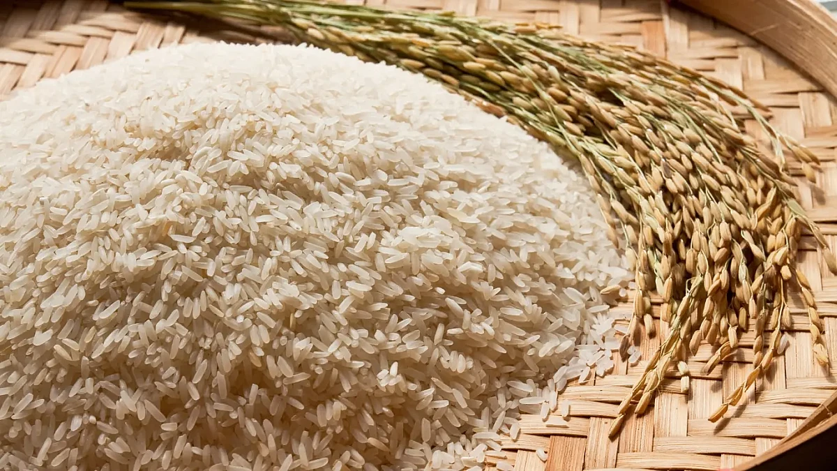 Organización Onpeco llama a proteger productores de arroz